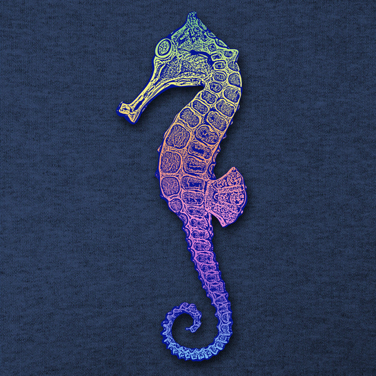 Cool Colorful Seahorse on a dark navy textile textured bacground